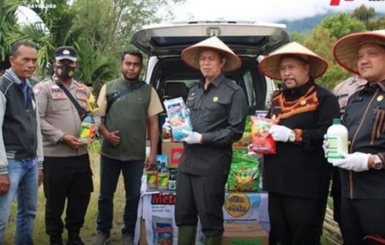 Pemkab Galus Datangkan Dinas Pertanian Aceh ke Gayo Lues Tinjau Hasil Panen