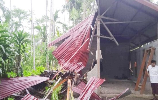 Hujan Deras Disertai Angin Kencang, Rumah Warga di Aceh Barat Rusak Tertimpa Pohon Tumbang