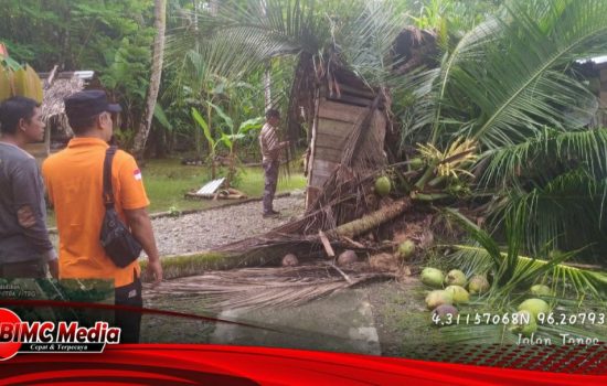 Usai Cuaca Buruk Satu Unit Rumah Tertimpa Pohon, BPBD Aceh Barat Gerak Cepat