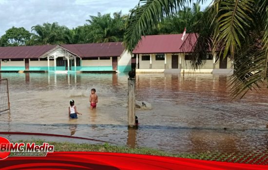 Update Tekni Kondisi Banjir di Woyla Barat, Air Berangsur Surut