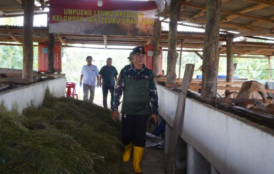 Dorong Ketahanan Pangan, Group Man 1 Aceh PT. Socfindo Berkunjung ke Food Estate Korem 012/TU